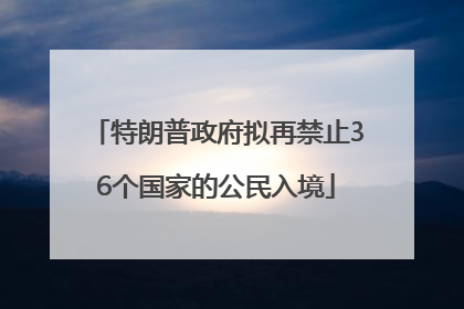 特朗普政府拟再禁止36个国家的公民入境